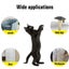 Scratch Protector Tape Deterrent Anti Scratch Durable Sticker Clear Protector Carousel 2