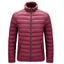 Men's Casual Streetwear Sports Cotton-Padded Puffer Jacket Outwear Carousel 6