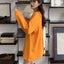 korean loose long sleeve tees women's autumn winter wild v-neck base Carousel 5