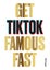 Get TikTok Famous Fast by Will Eagle - Paperback Carousel 1