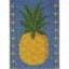 Beutron Long Stitch Kit Kids Beginner Pineapple Carousel 1