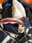 Big bag of large fabric pieces - rip-stop nylon, insect screen, long zips, etc Carousel 6