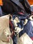 Big bag of large fabric pieces - rip-stop nylon, insect screen, long zips, etc Carousel 5