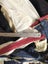 Big bag of large fabric pieces - rip-stop nylon, insect screen, long zips, etc Carousel 8
