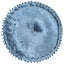 Round Pouffe Velvet 40x20 Cm Blue Xnipll Carousel 3