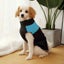Blue Waterproof Padded Winter Warm Dog Clothes Waterproof Pet Vest Carousel 5