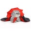Cute Halloween Pet Costumes Cosplay Vampire Cloak For Small Dog Cat Carousel 5