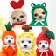 Puppy Dog Teddy Cat Plus Velvet Hooded Sweater Pet Clothes Cats Pet Carousel 3