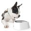 Dog Drinking Water Bowl Floating Mouth Cat Bowl Without Spill Drinking Dispenser Carousel 4