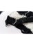Knitted Sweater Pullover Women Cardigan O-neck Long Sleeve Oversize Carousel 6