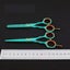 Japanese Thinning Stainless Steel Hairdressing Scissors 5.5 Inches Carousel 6