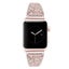 Stainless Steel Armband for Apple Iwatch Carousel 2