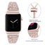 Stainless Steel Armband for Apple Iwatch Carousel 3