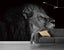 3D Vintage Lion Avatar Black Wall Mural Wall Decor Peel & Stick Wallpaper Carousel 4