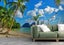 3D Sky Cloud Beach Coconut Tree Wall Mural Wall Decor Peel & Stick Wallpaper Carousel 4