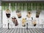 3D Bubble Tea Pearl Tea Milk Tea Wall Mural Wall Decor Peel & Stick Wallpaper Carousel 3
