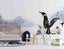 3D Antarctic Penguin Ice Snow Wall Mural Wall Decor Peel & Stick Wallpaper Carousel 1