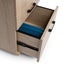 Oki 2-Drawer and File Mobile Drawers Carousel 3