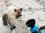 2 X Outdoor Dog Water Bottle Portable Pet Feeder Travel Pet Drinking Cup Carousel 5