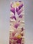Vintage Japanese Silk Kimono Panel Hand Embroidered Floral Fabric Piece Carousel 5