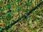 ELECTRIC CHICKEN NETTING , 21 METER / ELECTRIC POULTRY NETTING / PORTABLE Carousel 7