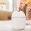 Portable Humidifier Mini Ultrasonic Air Purifier LED Lamp USB Carousel 3