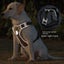 Adjustable Harness Dog Reflective Safety Training Walking Chest Vest Carousel 4