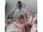 PTN New Epoxy Resin Kit Sale Sale Sale Carousel 12