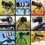 Octopus Tripod Stand Flexible Gorillapod for Mobile Phone Camera Carousel 6