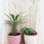 Macrame Plant Hanger Shelf Wall Hanging I0940BG0 Carousel 5