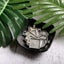 Resin Moulds Silicone Jewellery Pendant Molds I0835WT0 Carousel 8