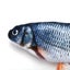Cat Toy Fish i1842BK0 Carousel 11