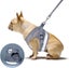 Dog Vest Harness Leash Set M 3631606 Carousel 5