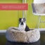 Cat Bed M 2019512 Carousel 8
