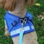 Cat Vest Harness Leash Set S 3631613 Carousel 7