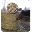 Loading Image 1 of 2
