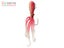 Savage Gear 3D Octopus Lure 185g 20cm Pink Glow Carousel 3