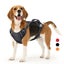 2 Leash Clips Durable No Pull Reflective Control Handle Dog Vest Harness Air ... Carousel 2