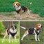 2 Leash Clips Durable No Pull Reflective Control Handle Dog Vest Harness Air ... Carousel 4