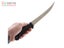 Berkley Essentials Fillet Knife 23cm Carousel 6