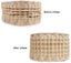 Lumber traction belt Air Traction 3647301 Carousel 3