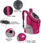 Cat Carrier Backpack Bag E0431HP3 Carousel 11