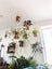 5pcs Macrame Plant Hanger Cotton Rope Hanging Planter Baskets I1742BG0 Carousel 8