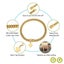 Strong 18k Gold Metal Cubic Zirconia Secure Buckle Chain Collar for Small Med... Carousel 2
