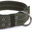 2-row Durable Adjustable Comfortable Metal Buckle Pet Collar For Medium Big Dogs Carousel 6