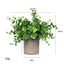 Mini Artificial Plants Eucalyptus Faux Potted Herbs Small House Plants for Table Carousel 1
