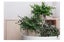 Mini Artificial Plants Eucalyptus Faux Potted Herbs Small House Plants for Table Carousel 2