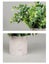 Mini Artificial Plants Eucalyptus Faux Potted Herbs Small House Plants for Table Carousel 3