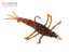 Savage Gear 3D Mayfly Nymph Soft Bait Lure 5cm Br… Carousel 2