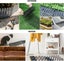 Cat Mat New Carousel 7
